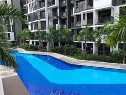 The Wisteria (D27), Apartment #198281642